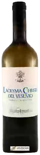 Domaine Mastroberardino - Lacryma Christi Del Vesuvio Bianco