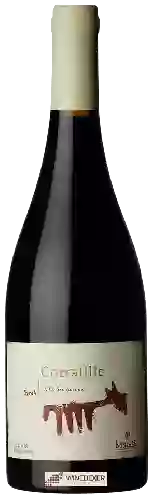 Domaine Matetic - Corralillo Syrah