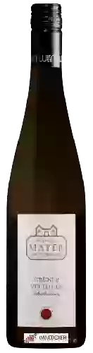 Domaine Mayer am Pfarrplatz - Schenkenberg Grüner Veltliner