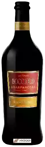 Domaine Medici Ermete - Le Tenute Bocciolo Grasparossa