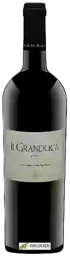 Domaine Vinicola Mediterranea - Il Granduca Salice Salentino Riserva