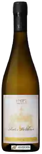 Domaine Mehofer - Neudegg Roter Veltliner