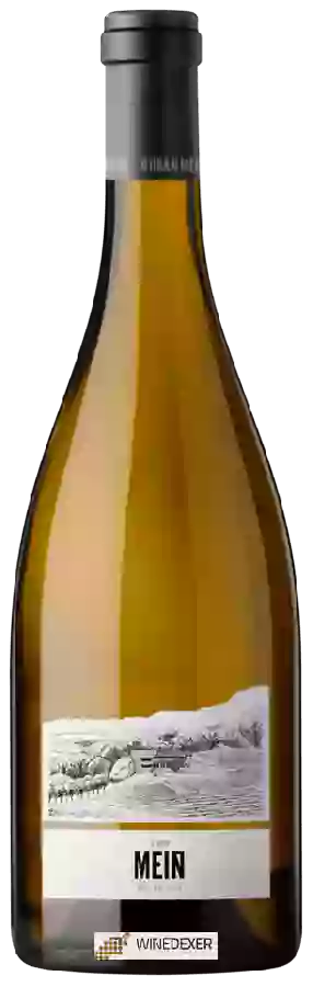 Domaine Viña Meín - O Gran Meín Blanco