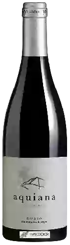 Domaine Merayo - Aquiana Bierzo