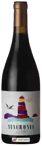 Domaine Mesquida Mora - Sincronia Negre