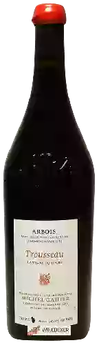 Domaine Michel Gahier - La Vigne du Louis Arbois Trousseau