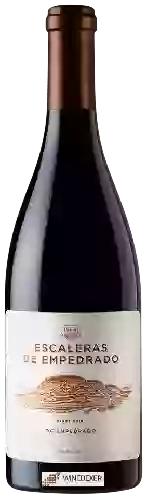 Domaine Miguel Torres - Escaleras de Empedrado Pinot Noir