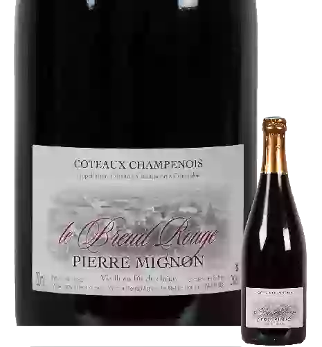 Domaine Moët & Chandon - Coteaux Champenois