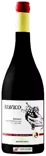 Domaine Moncaro - Atavico Rosso Piceno Superiore