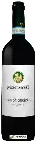 Domaine Montasolo - Pinot Grigio