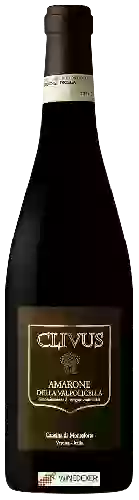 Domaine Cantina di Monteforte - Clivus Amarone della Valpolicella