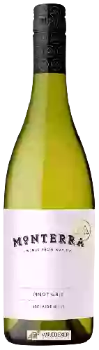 Domaine Monterra - Pinot Gris