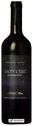 Domaine Montsec - Astronòmic