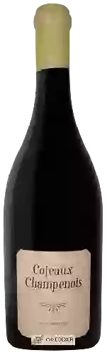 Domaine Mouzon Leroux - Coteaux Champenois Verzy Grand Cru