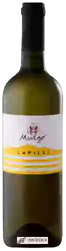 Domaine Murgo - Lapilli Bianco