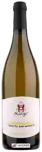 Domaine Murgo - Tenuta San Michele Etna Bianco