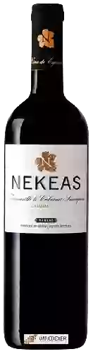 Bodegas Nekeas - Navarra Crianza