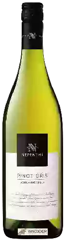 Domaine Nepenthe - Pinot Gris