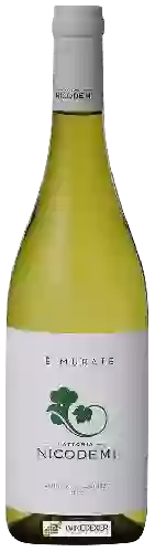 Domaine Nicodemi - Le Murate Trebbiano d'Abruzzo