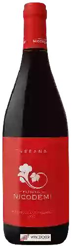 Domaine Nicodemi - Terrana Montepulciano d'Abruzzo