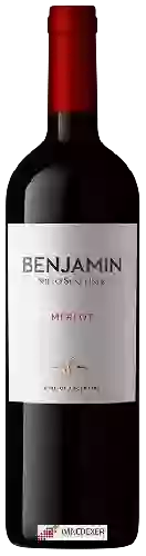 Domaine Nieto Senetiner - Benjamin Merlot