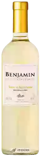 Domaine Nieto Senetiner - Benjamin Suave & Refrescante Blanco