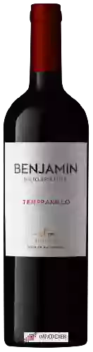 Domaine Nieto Senetiner - Benjamin Tempranillo