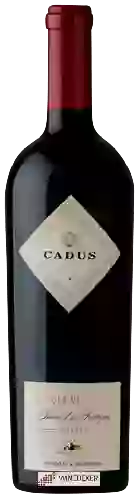 Domaine Nieto Senetiner - Cadus Finca Las Tortugas Malbec (Single Vineyard)