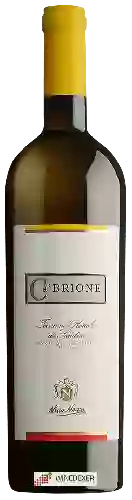 Domaine Nino Negri - Ca' Brione Terrazze Retiche di Sondrio