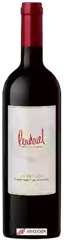 Domaine Norton - Perdriel Series Cabernet Sauvignon