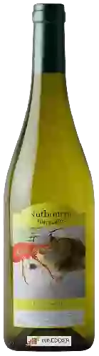 Domaine Nutbourne Vineyards - Chardonnay