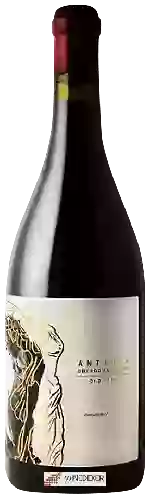 Bodegas Obergo - Antiqua Old Vines Garnacha