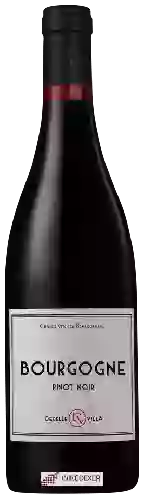 Domaine Olivier Decelle - Bourgogne Pinot Noir