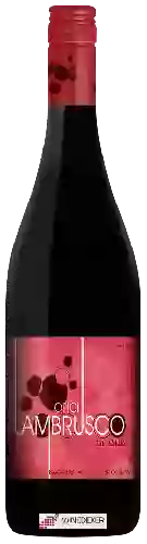 Domaine Opici - Lambrusco