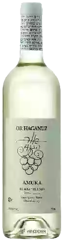 Domaine Or Haganuz - Amuka Blanc Blend (בלאן בעמוקה תַעֲרוֹבֶת)