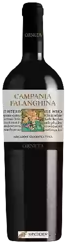 Domaine Orneta - Falanghina