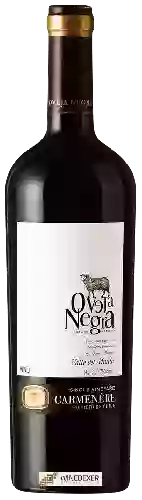 Domaine Oveja Negra - Single Vineyard Carmenère