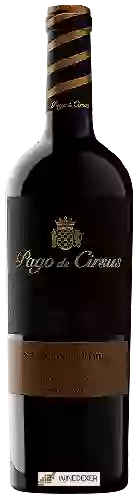 Domaine Pago de Cirsus - Selección de Familia