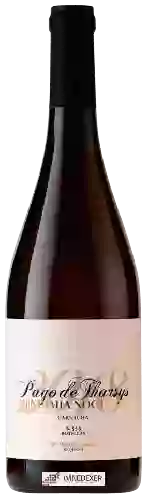 Domaine Pago de Tharsys - Vendimia Nocturna Garnacha