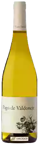 Domaine Vinos Valtuille - Pago de Valdoneje Godello