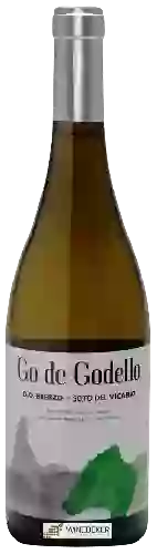 Domaine Pago del Vicario - Go de Godello