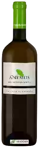 Domaine Palivou Estate - Anemos White