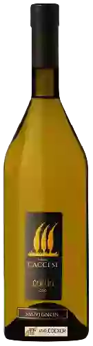 Domaine Paolo Caccese - Sauvignon