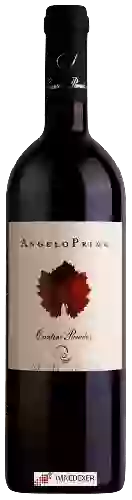 Domaine Cantine Paradiso - Angelo Primo