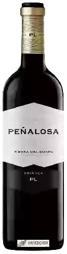 Bodegas Pascual - Heredad de Peñalosa Crianza