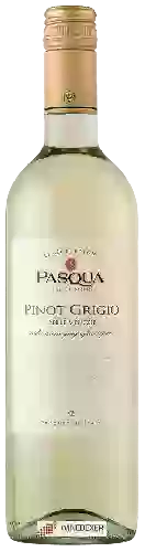 Domaine Pasqua - Le Collezioni Pinot Grigio