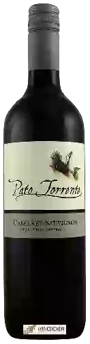 Domaine Pato Torrente - Cabernet Sauvignon