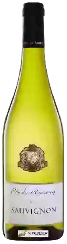 Domaine Paul Buisse - Clos des Ronceveaux Touraine Sauvignon