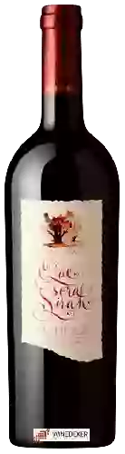 Domaine Paul Mas - Que Sera Sirah Shiraz