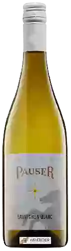 Domaine Weingut Pauser - Sauvignon Blanc